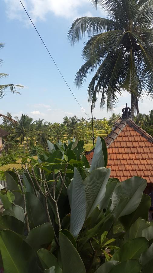 Villa Bungsil Gading Ubud  Ngoại thất bức ảnh