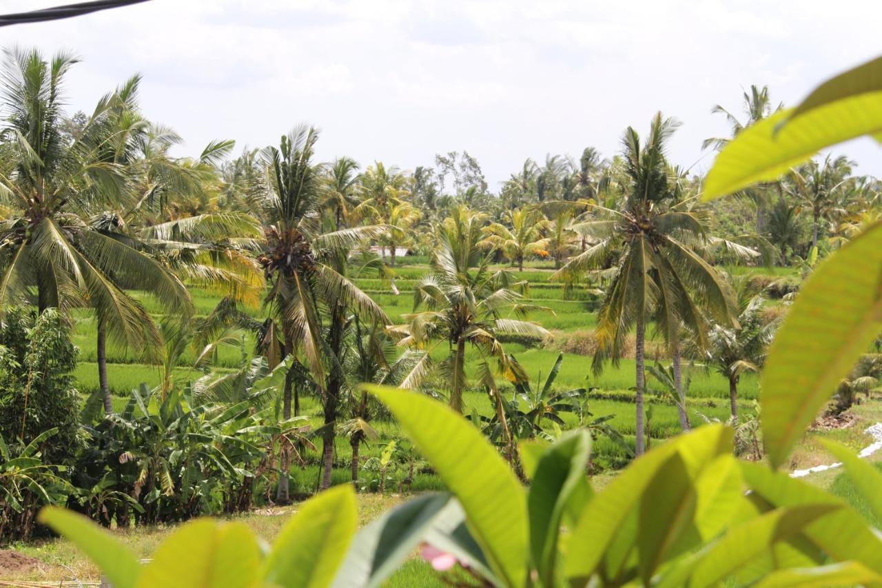 Villa Bungsil Gading Ubud  Ngoại thất bức ảnh
